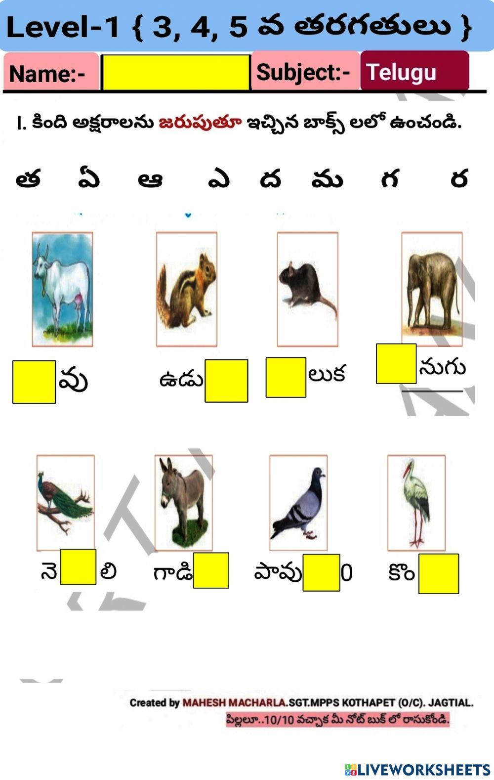 Level-1-Telugu-WS-3