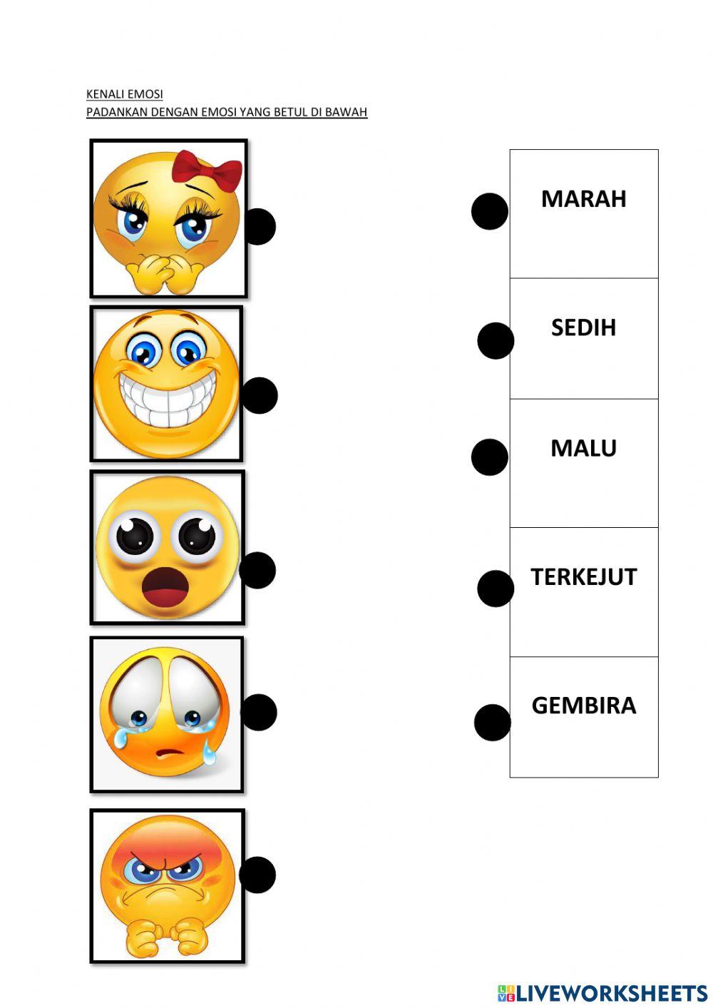 Pjk tahun 2 pengurusan emosi