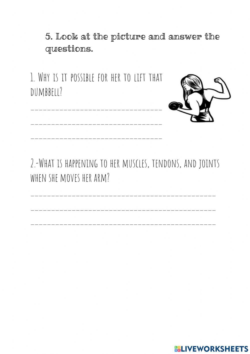 Muculoeskeletal System Review