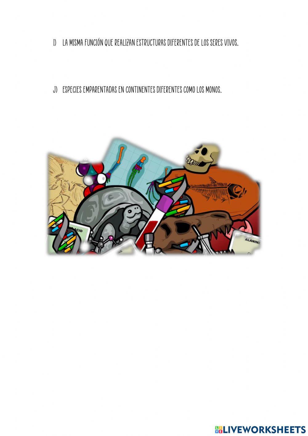 Evidencia Evolutivas