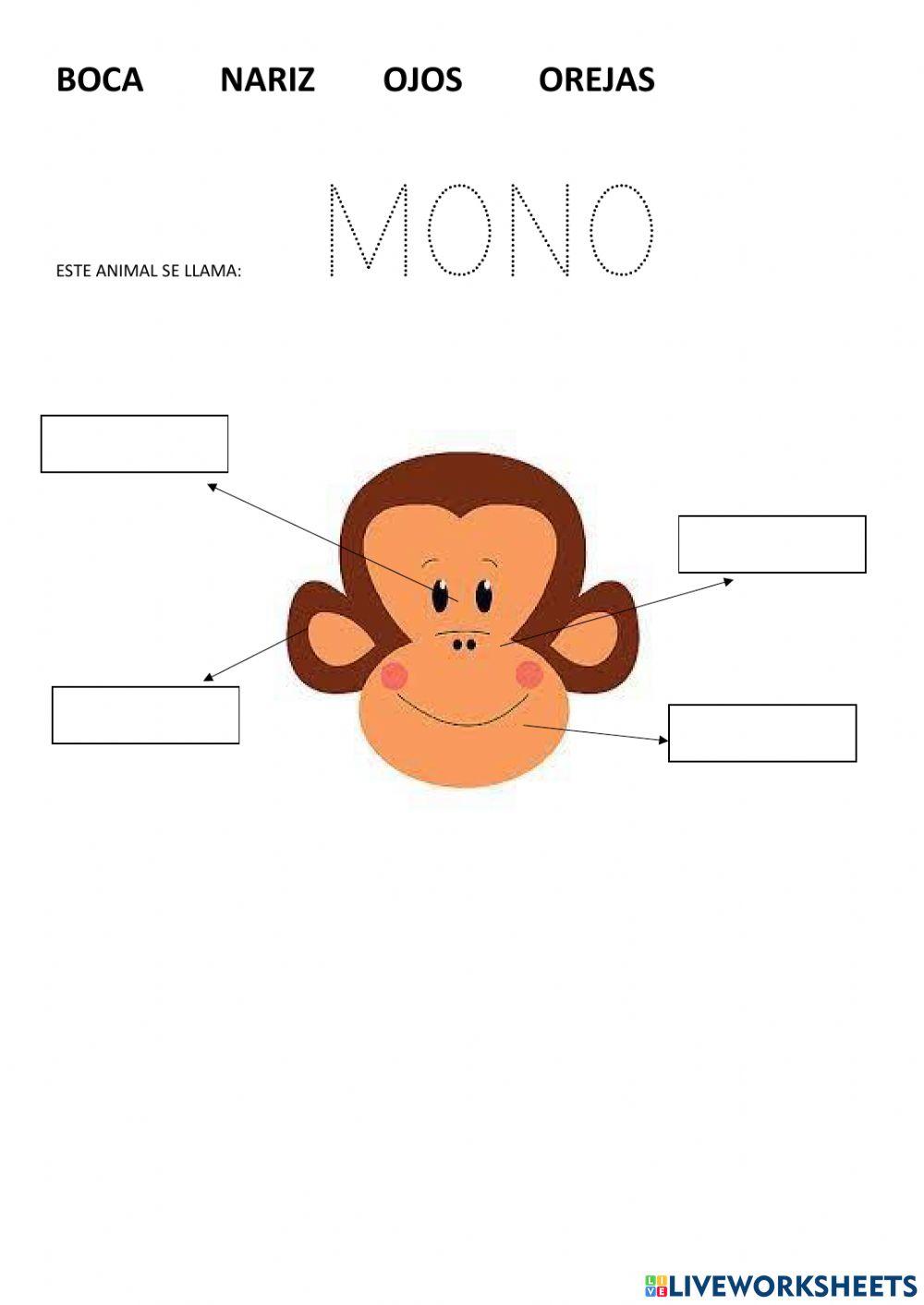 Partes de la cara animales