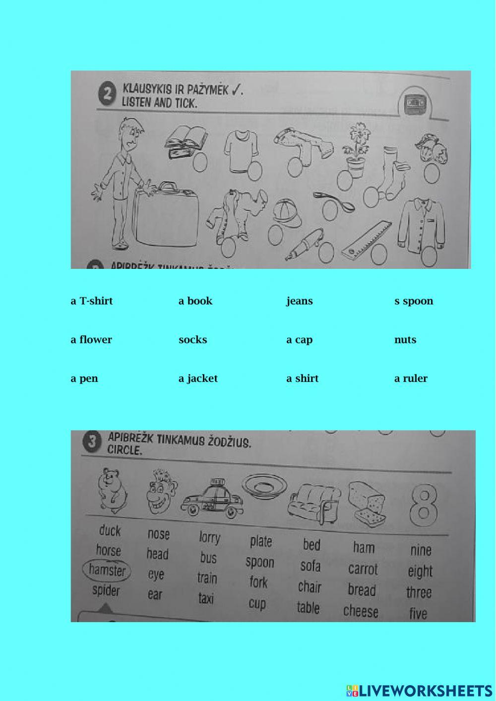 Anglų-Lesson28-žodynas
