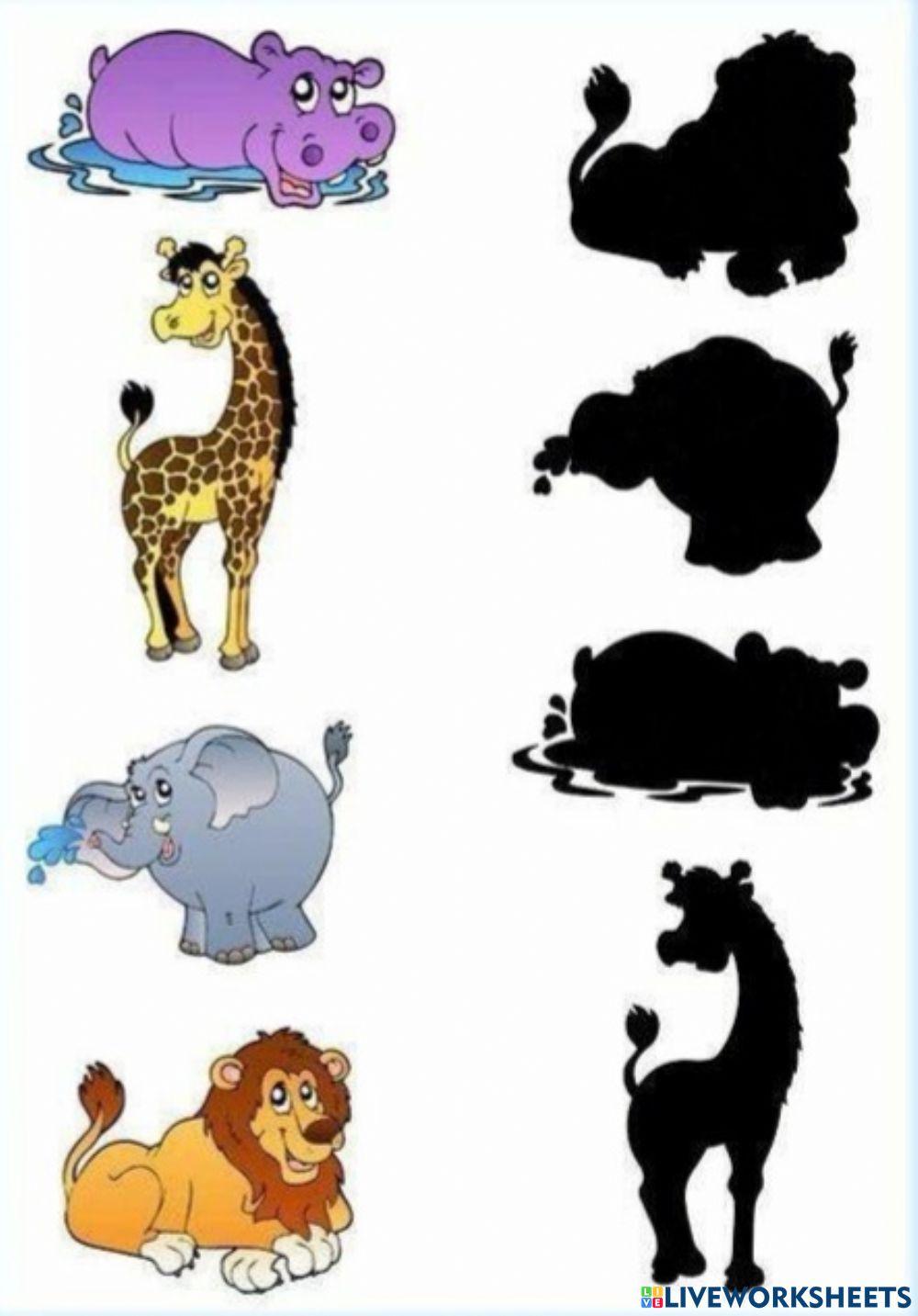 Animale salbatice - si umbra lor