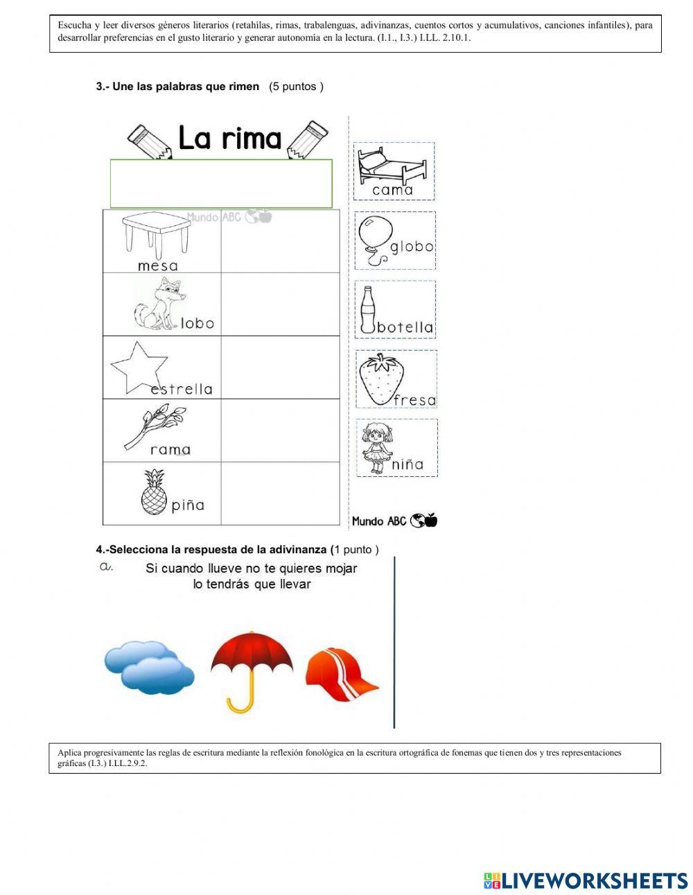 Final quimestre lengua