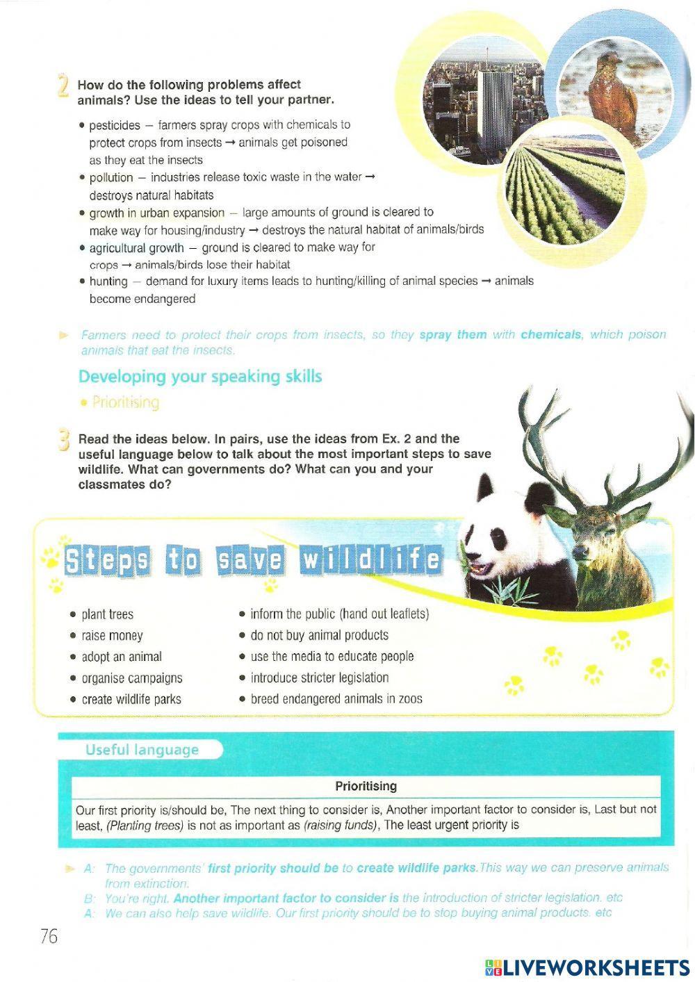 FCE(1) Speaking Test - 5