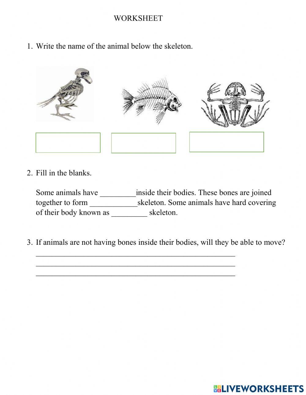 Grade 4 Science 1060031 Grade 4 Live Worksheets