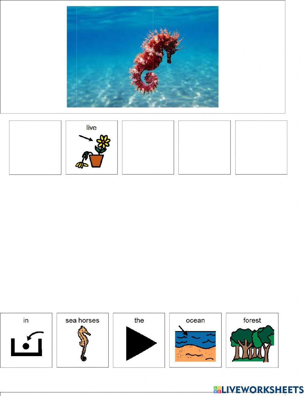 Animal Habitats (forest or ocean)