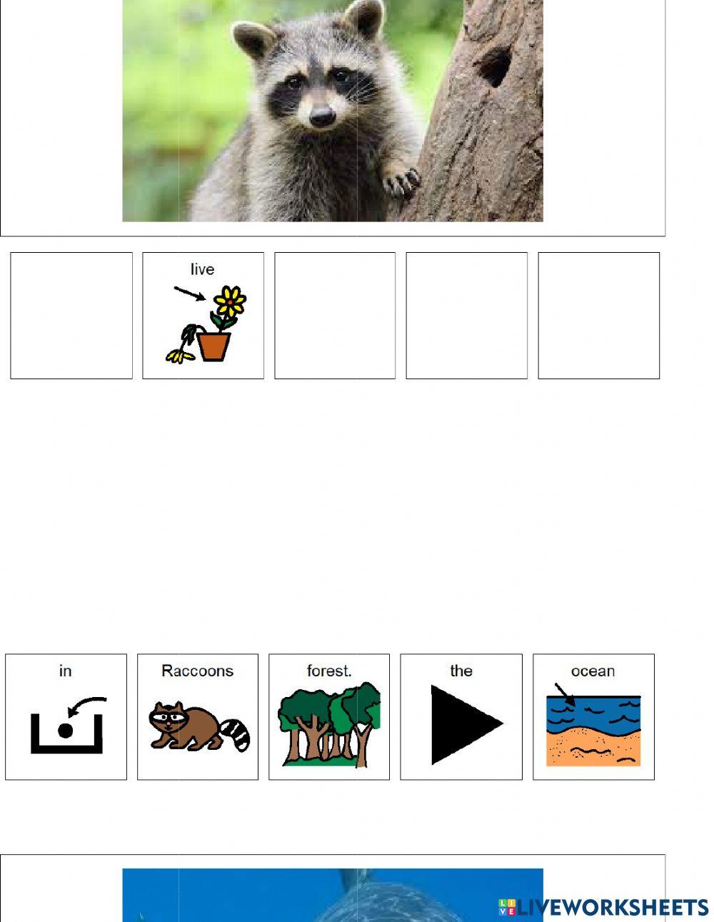Animal Habitats (forest or ocean)