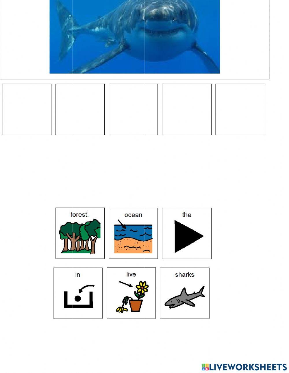 Animal Habitats (forest or ocean)