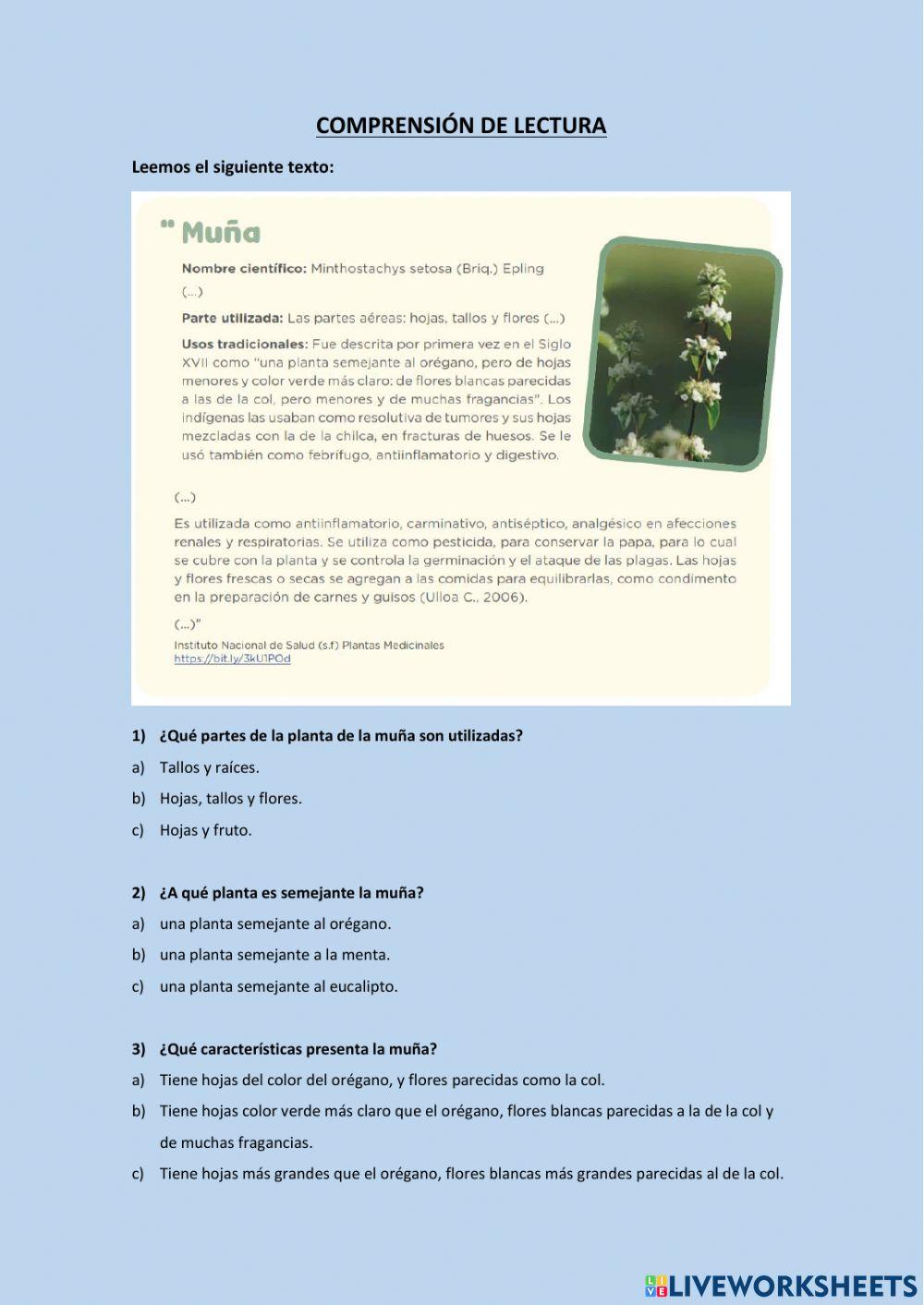 Lectura sobre la muña