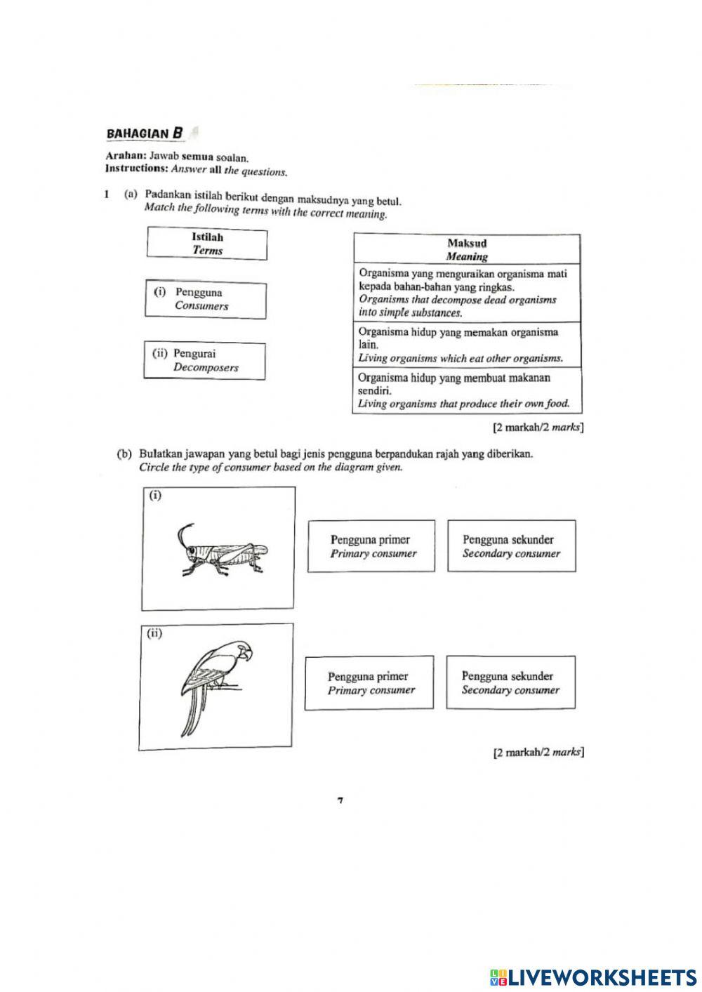 Ulangkaji Ting 2 bab 1,2,3,4