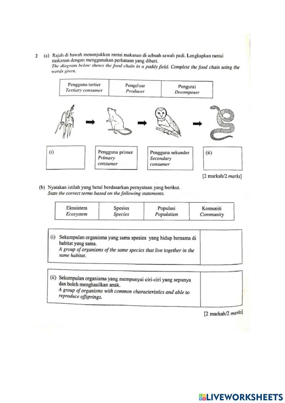 Ulangkaji Ting 2 bab 1,2,3,4