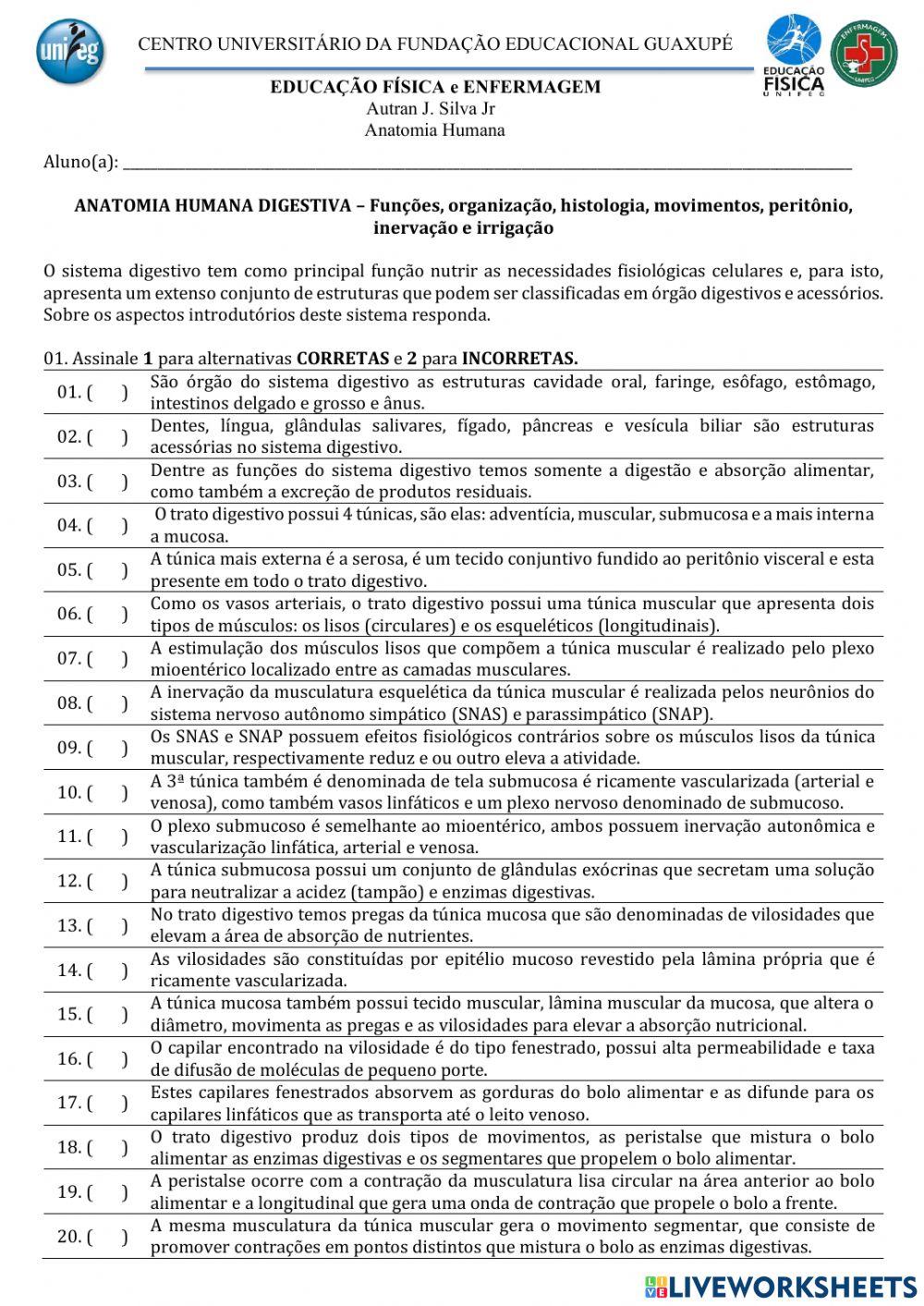 Anatomia Digestiva - Introdução