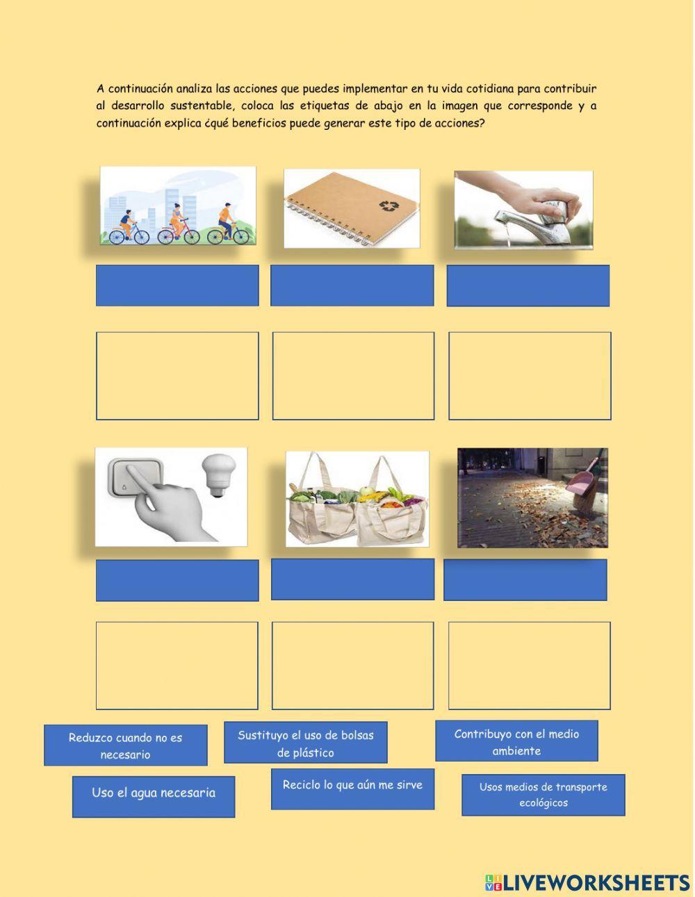 El desarrollo sustentable