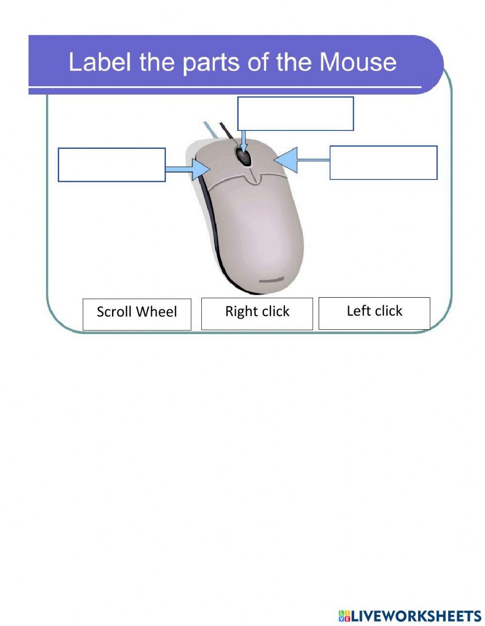 Input and output devices worksheet for grade 5 live 58 off