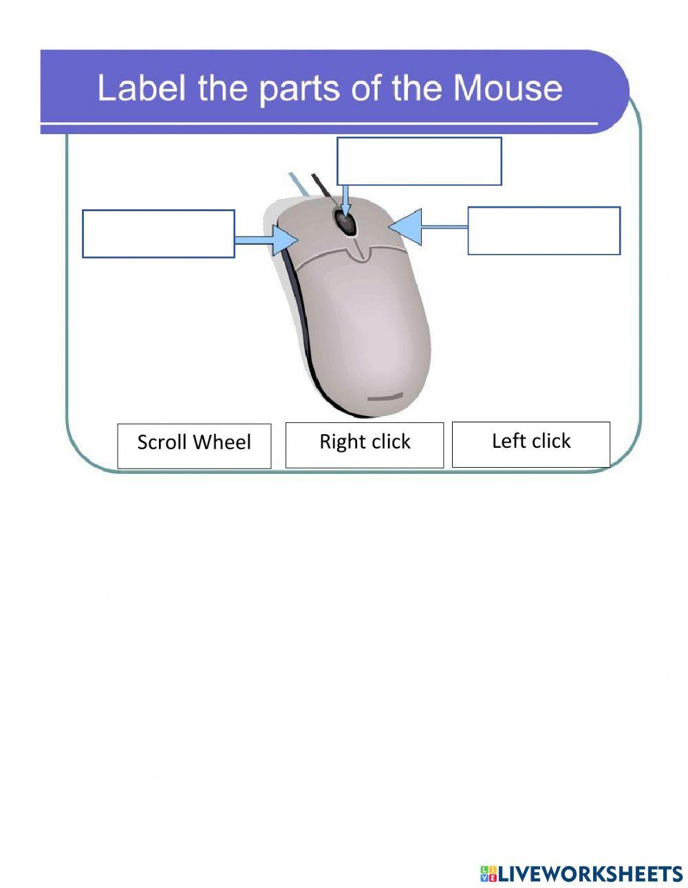 Mouse parts