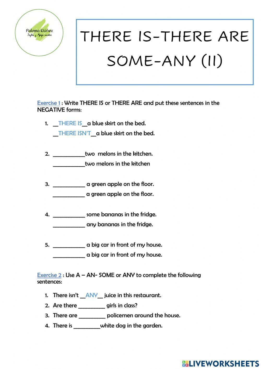 1061233 lesson 15 there is there are some any