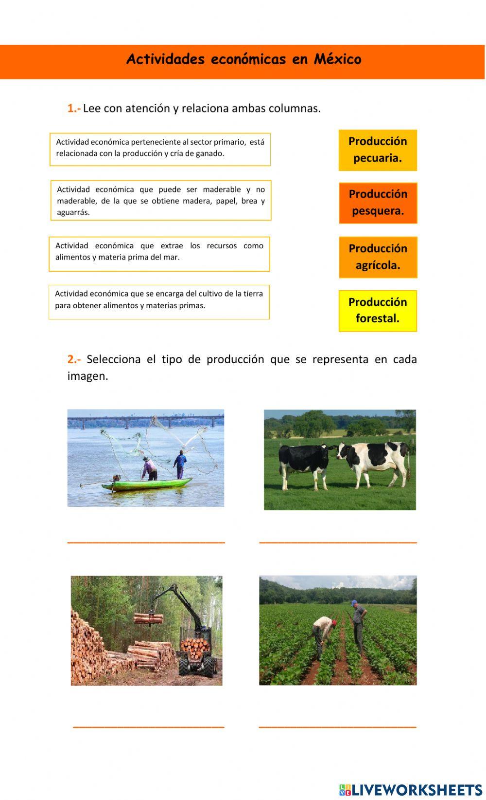 Actividades económicas en México