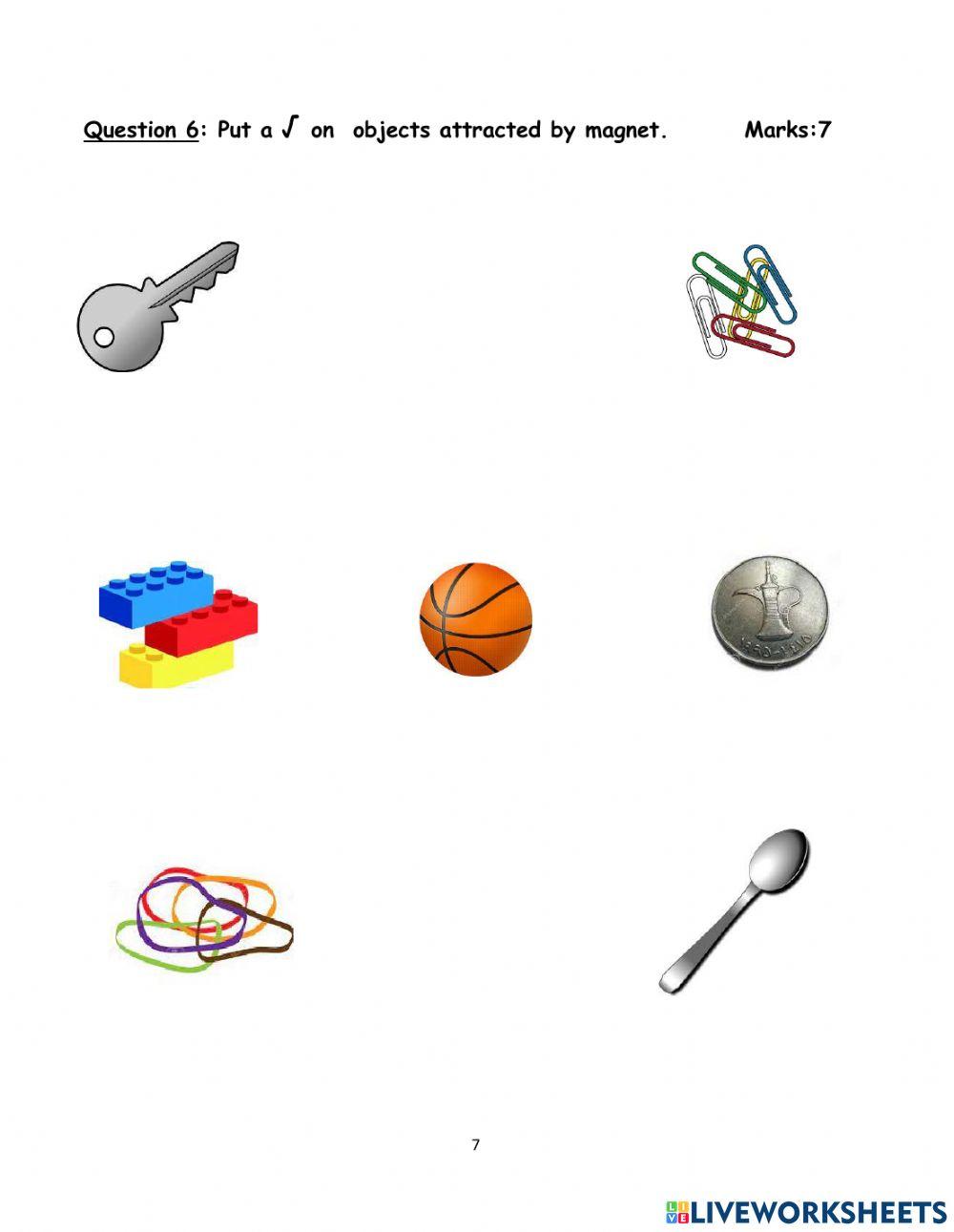 KG 1 Science Term 1 Exam 