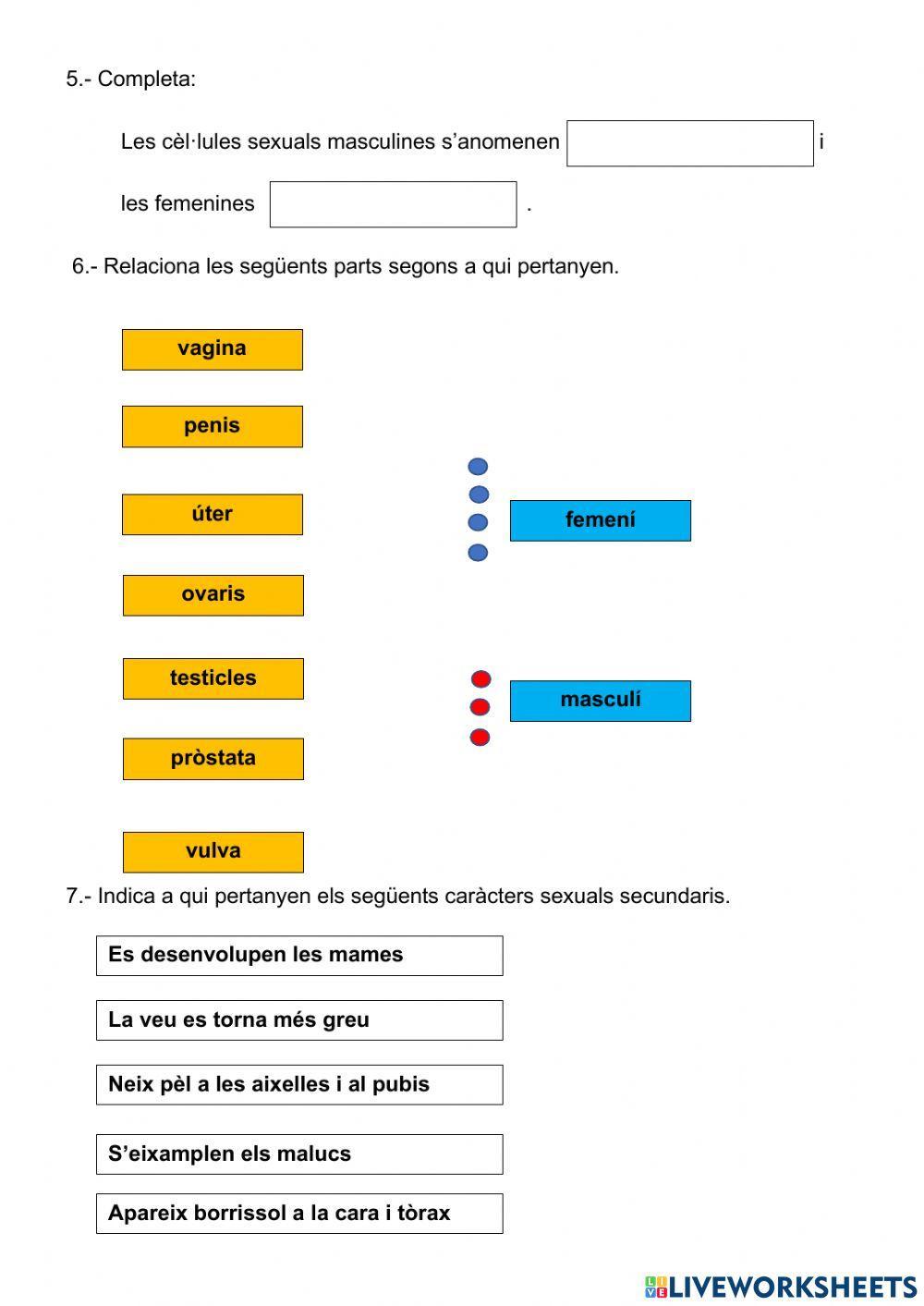 La funció de reproducció