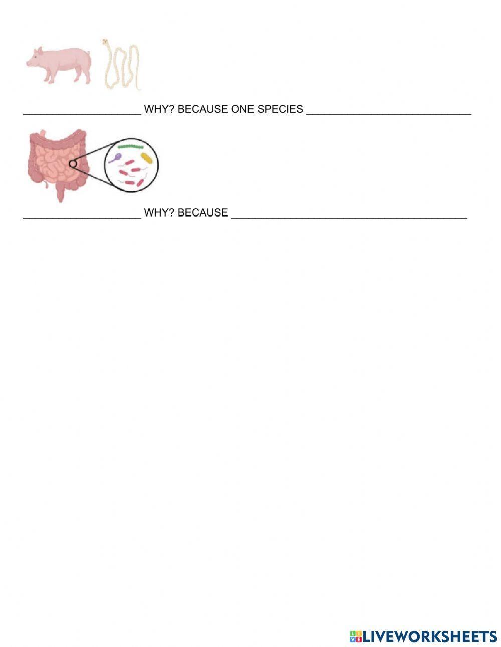 Interspecific relationships