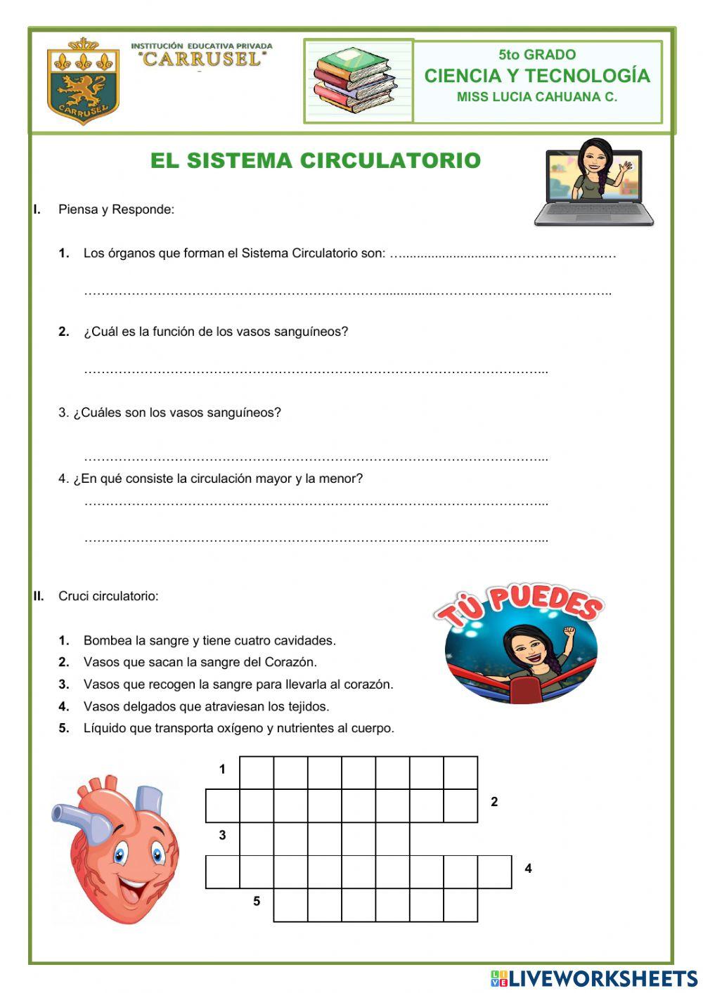 Sistema circulatorio