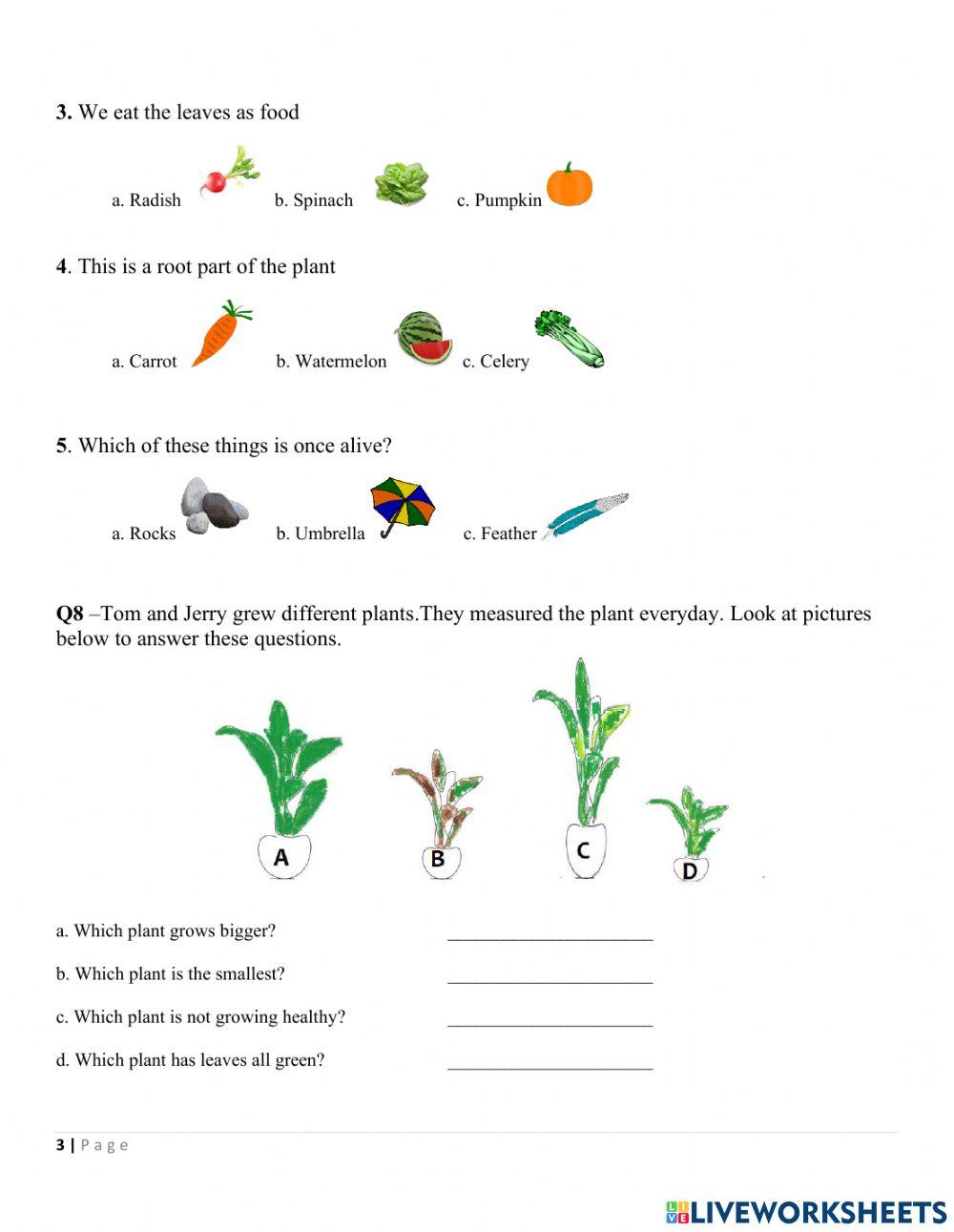 Assessment C Revision Unit 1 Plants