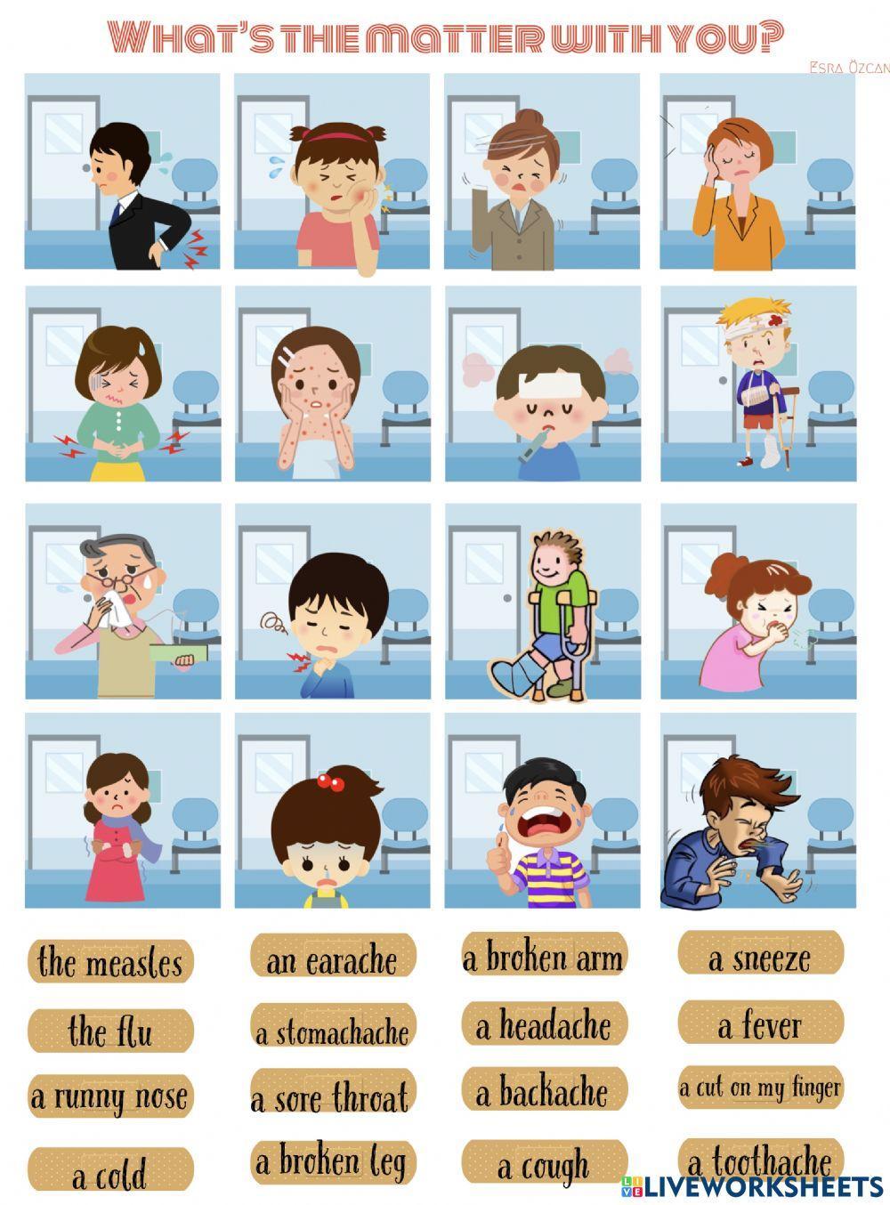 Health Illnesses Health Illnesses