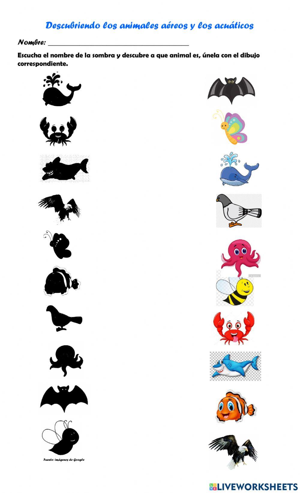 Descubriendo los animales aéreos y acuáticos