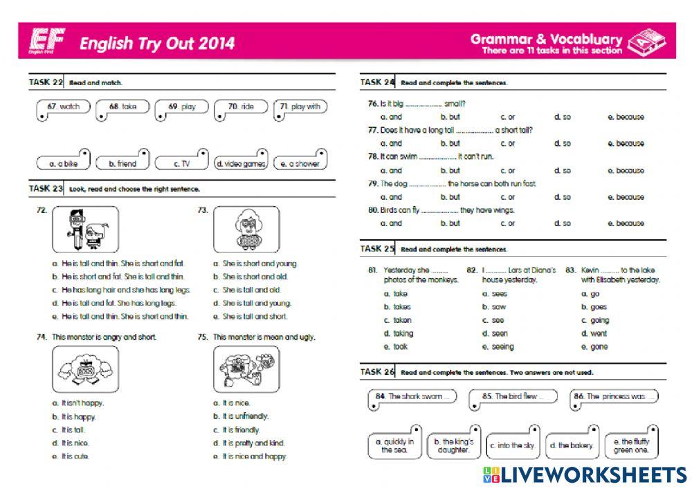 Yle tryouts - grammar & vocabulary