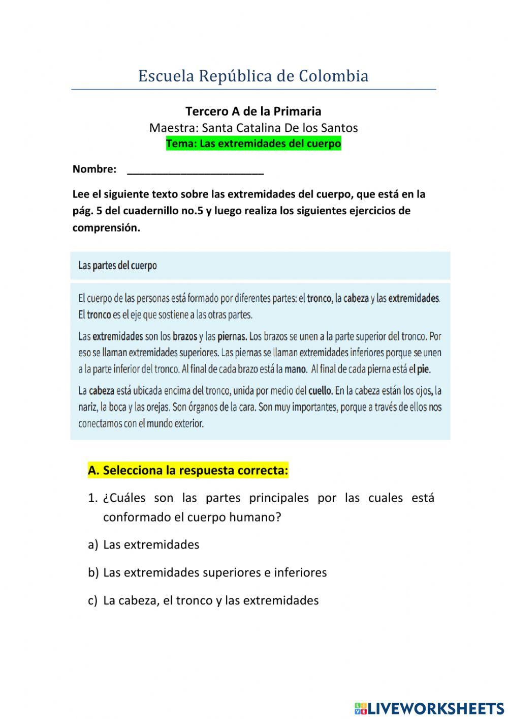 Las Extremidades del cuerpo