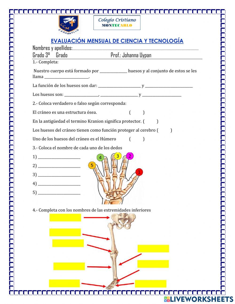 Evaluacion mensual de ciencia