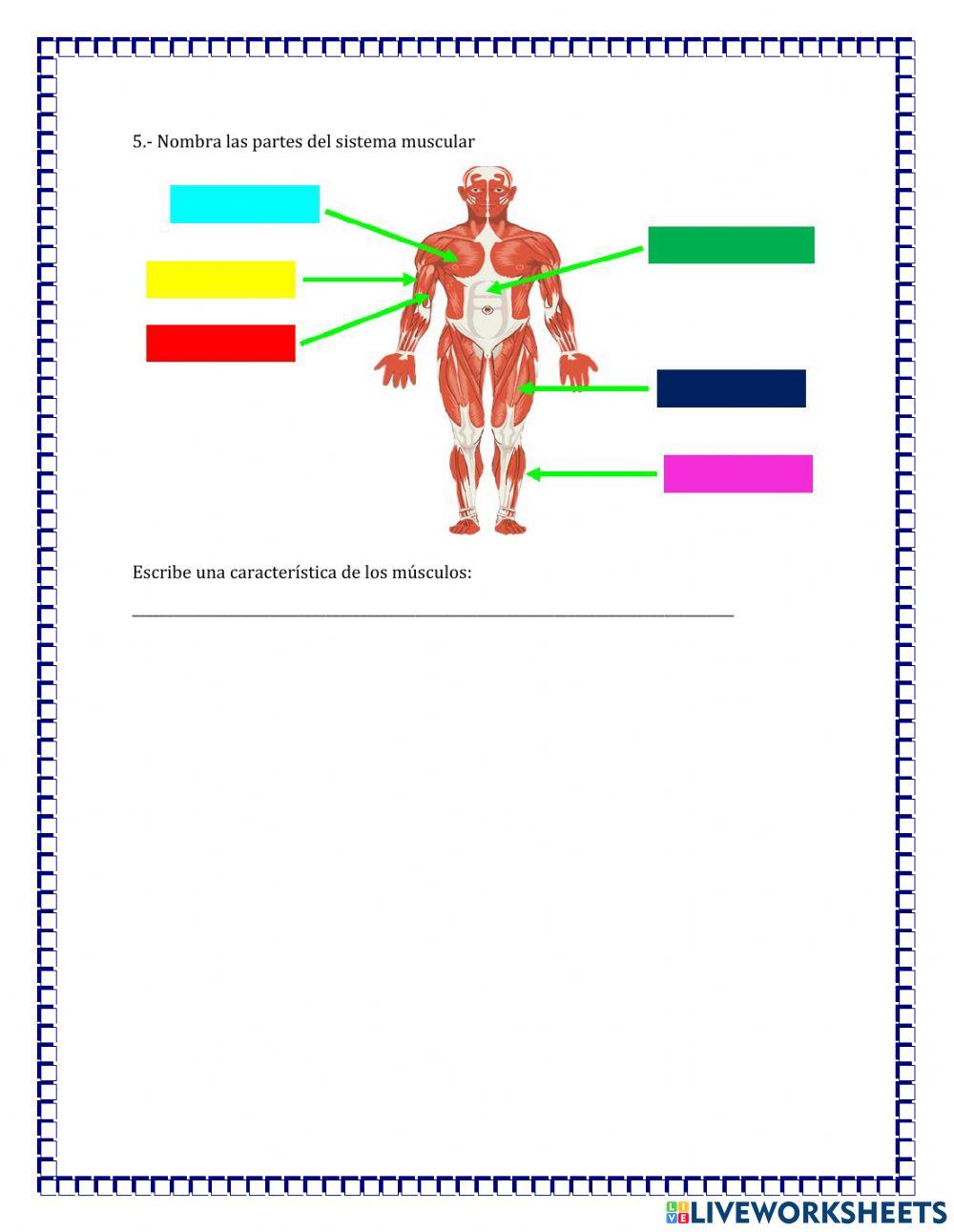 Evaluacion mensual de ciencia