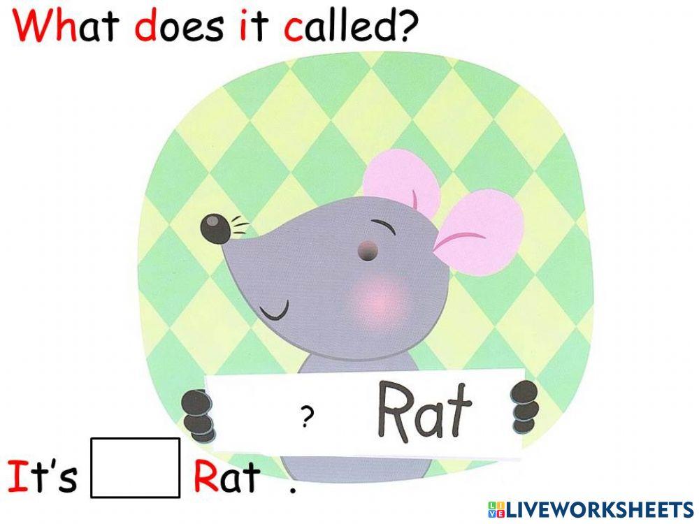 B1a Pat cat and tat rat 004