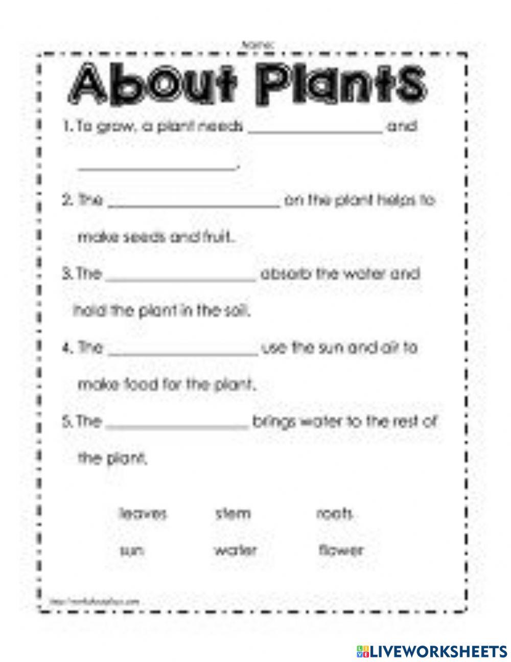 Plants 1063475 Anuska Mandal Live Worksheets