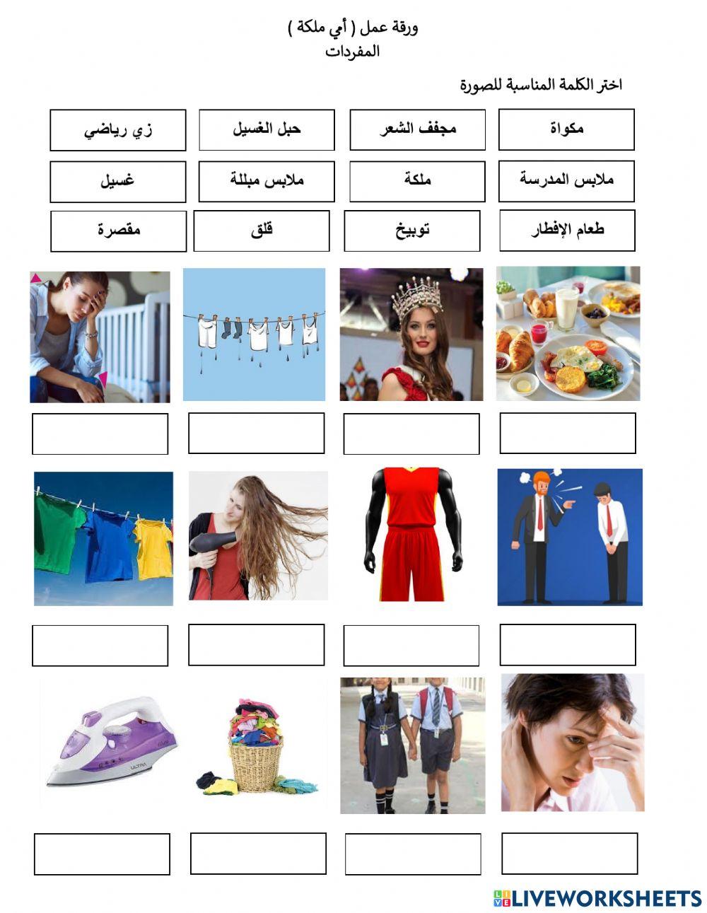 مفردات أمي ملكة