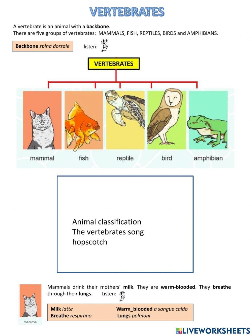 The vertebrates