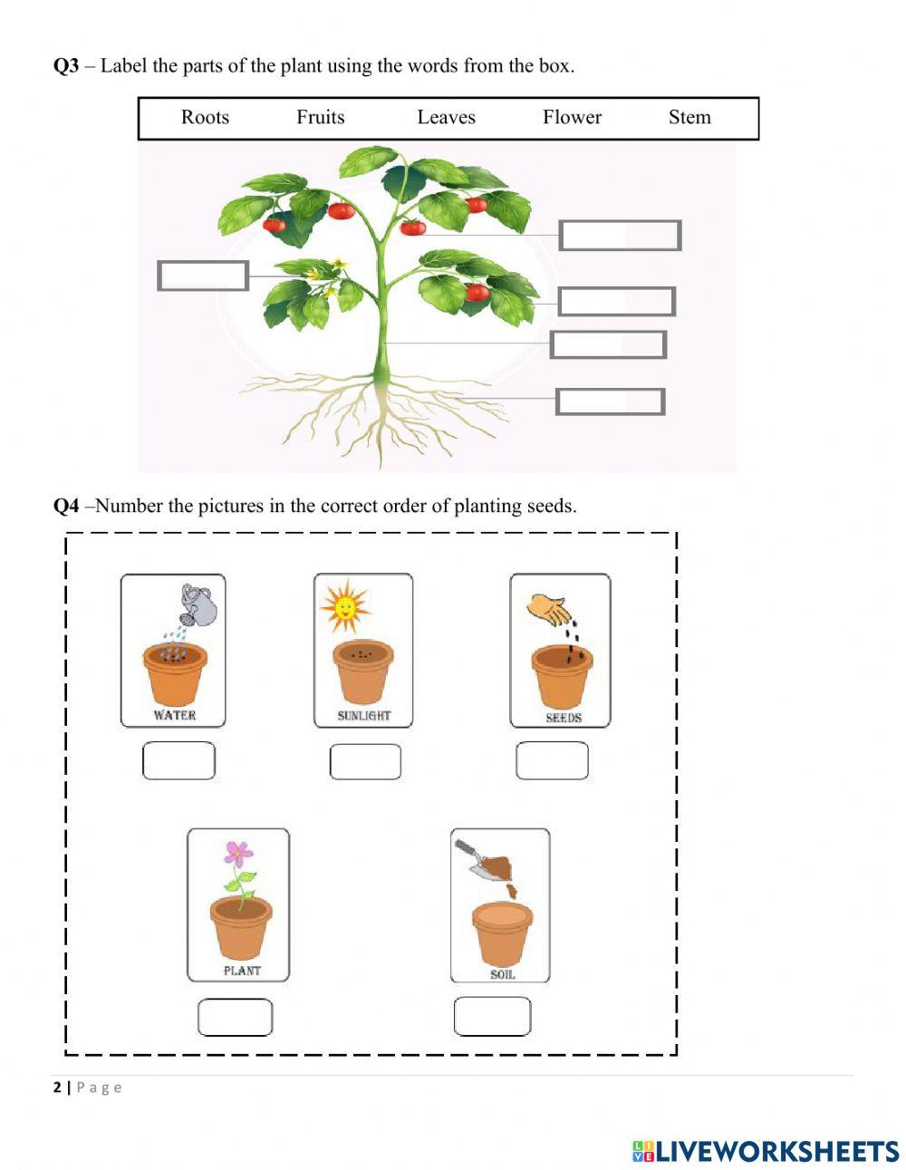 Assessment C Revision Unit 1 Plants