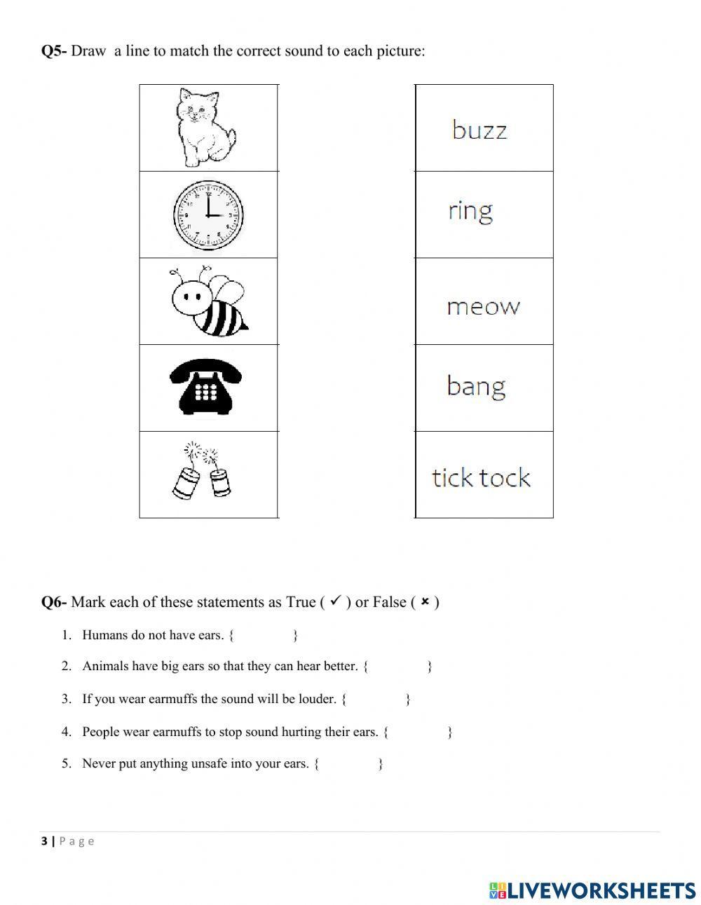 Assessment C Revision Unit 6 Sound