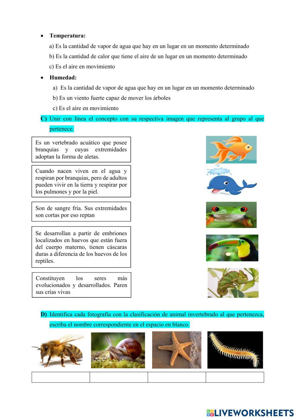 Proyecto examen quimestral ii - 2 VALIDO