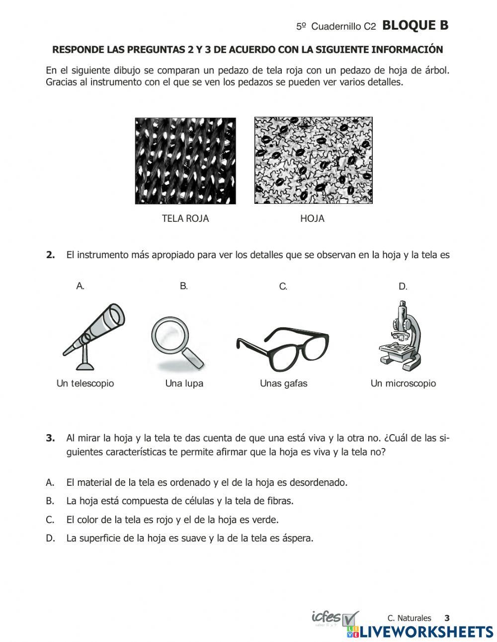Prueba saber Ciencias 200951p