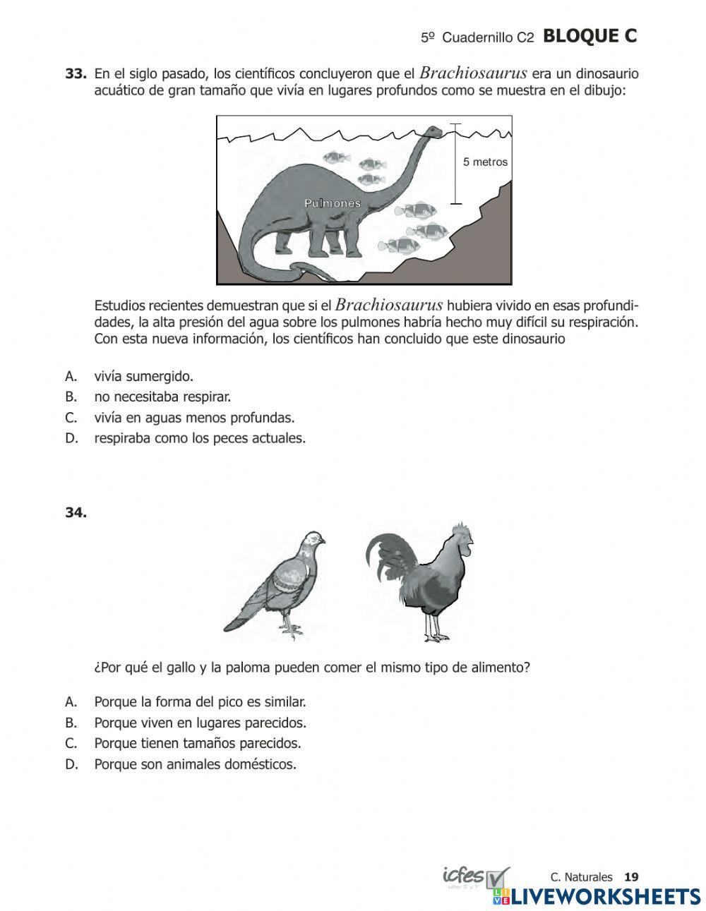 Prueba saber Ciencias 200952p