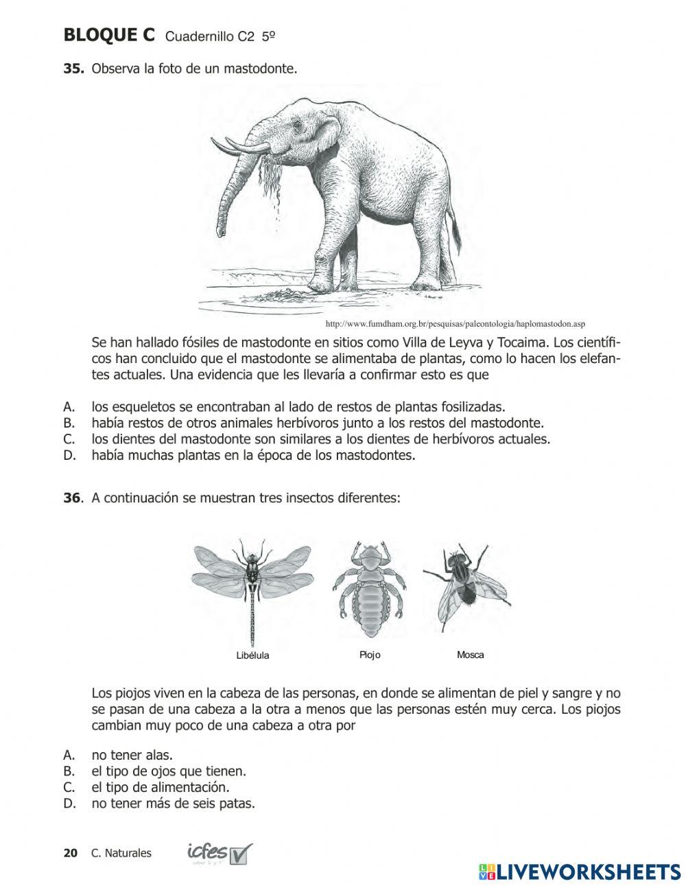 Prueba saber Ciencias 200953p