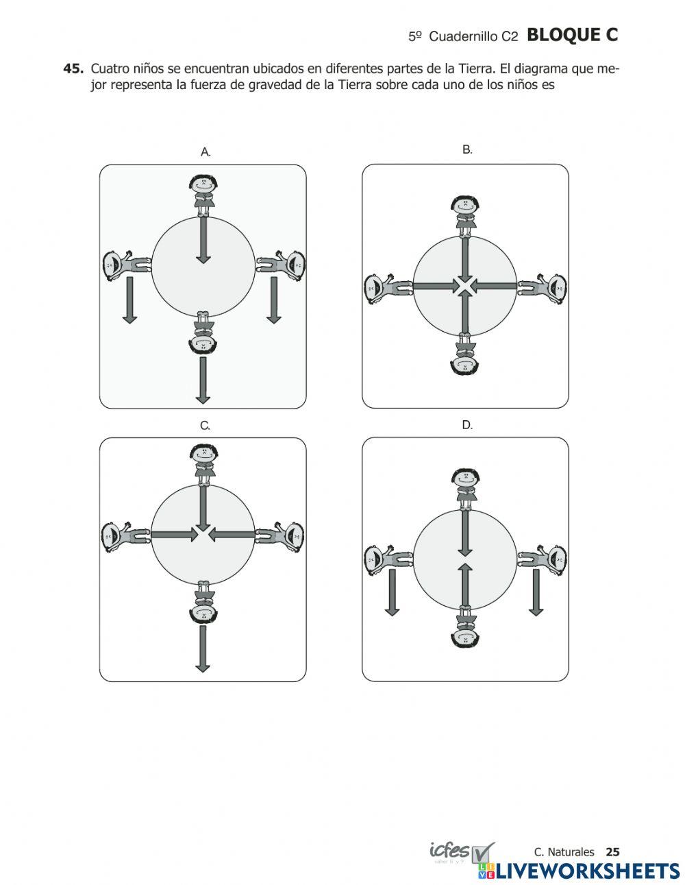 Prueba saber Ciencias 200953p
