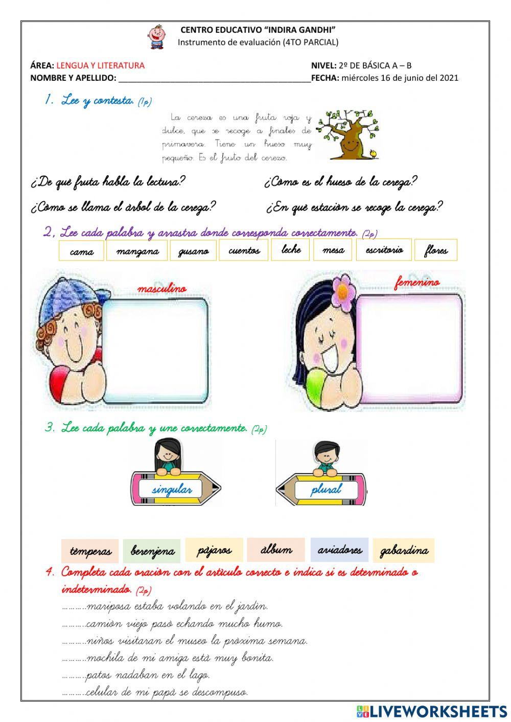 Evaluación IV parcial