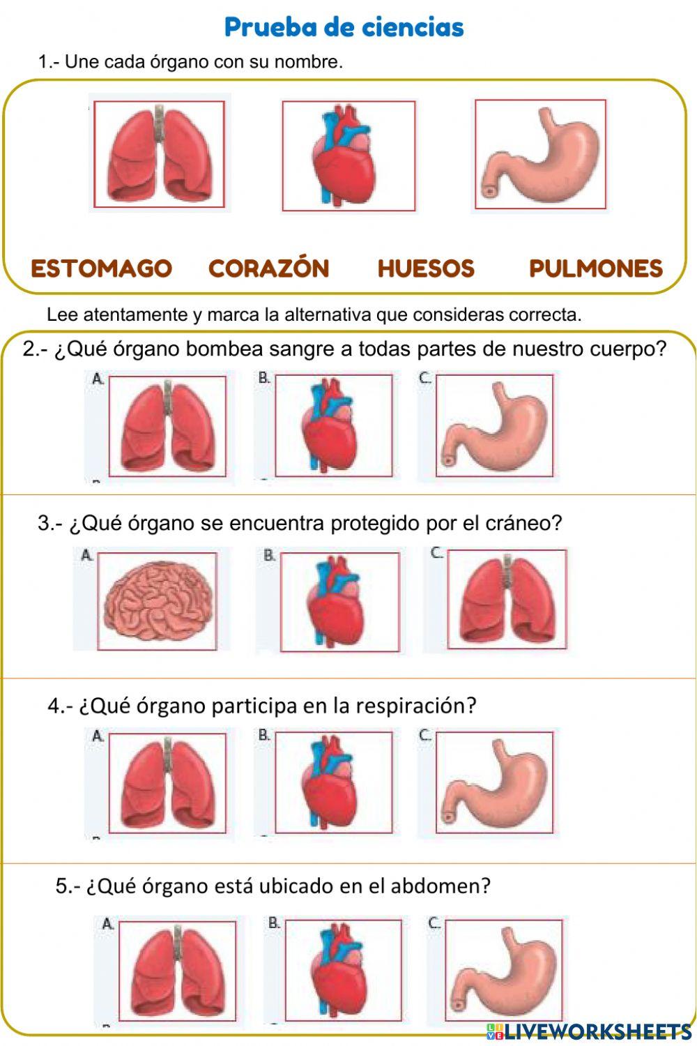 Evaluación Ciencias
