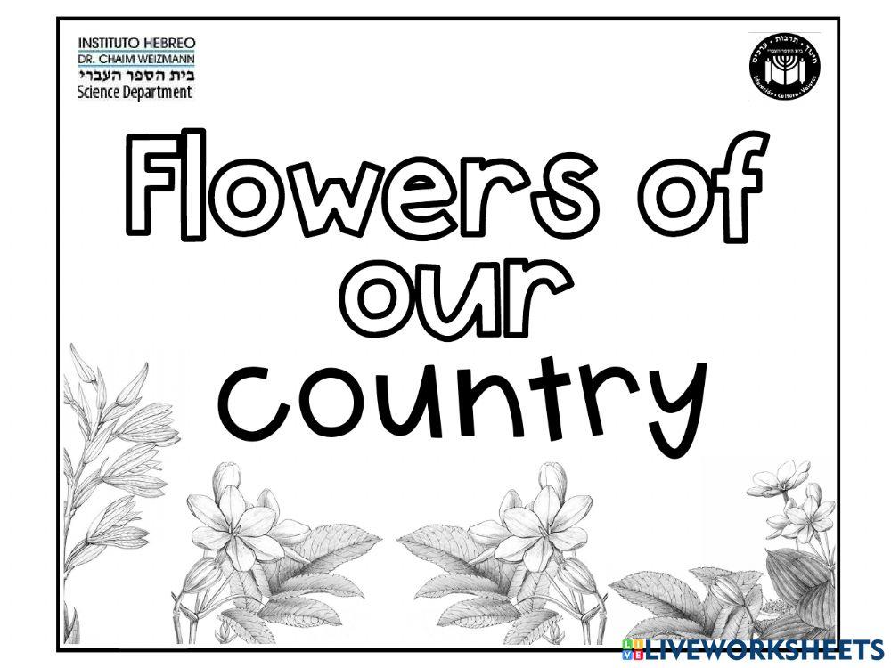Flowers of our country