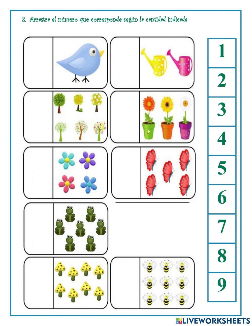 Evaluación Pensamiento matemático