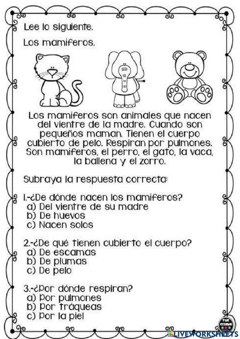 Comprensión lectora