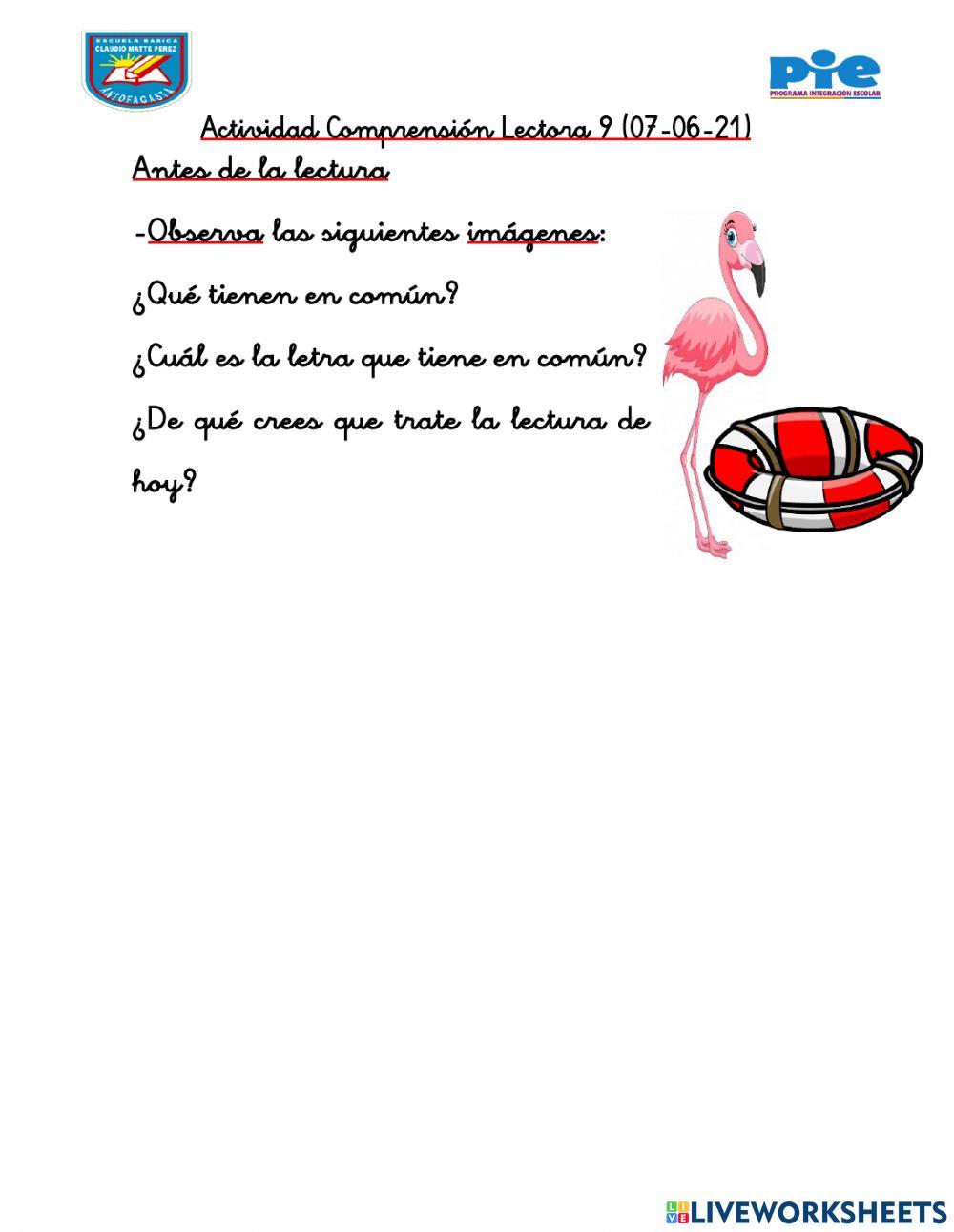 Actividad 9 Comprensión Lectora 2 A Personalizado